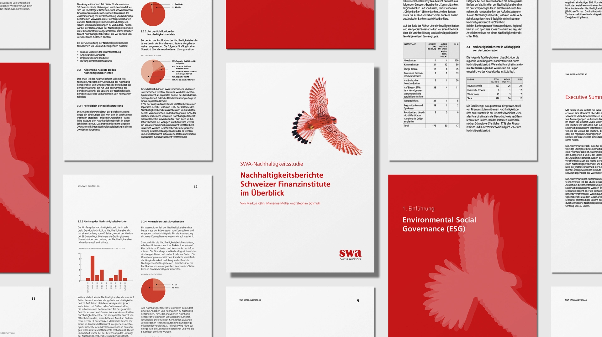 Gestaltung der Nachhaltigkeitsstudie mit Datenanalyse, Infografiken und Berichtsgestaltung für SWA Swiss Auditors.